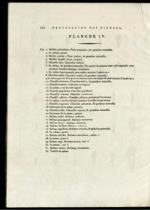 Explication des Figures. Planche IV.