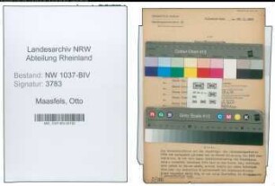 Entnazifizierung Otto Maasfels , geb. 13.06.1894 (Kaufmann)