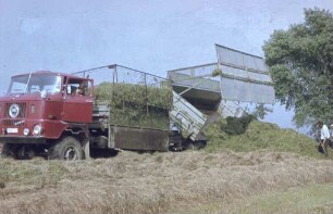 Fahrsilobeschickung mit LKW W 50 und Anhänger mit Schwerhäckselaufbau