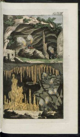Taf. XVII. Fig. 52.