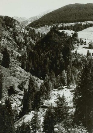 Schweiz, Ostalpen, Gebiet der Albulbahn nahe Tiefencastel
