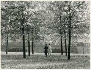 Spaziergang im Berliner Lustgarten
