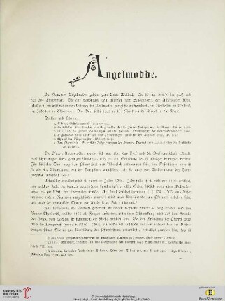 ⟦Angelmodde⟧