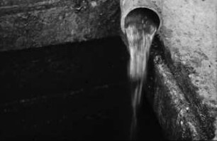 Fotografie: Gülle- und Entmistungstechnik, Gülleausbringung, Gülleverschlauchung
