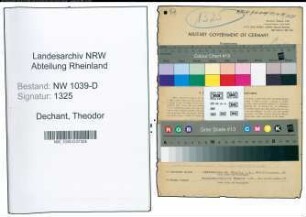 Entnazifizierung Theodor Dechant , geb. 11.03.1888 (Bankinspektor)