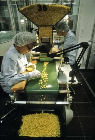 ASTA-Werke, pharmazeutische Produktion, in Halle-Künsebeck, 1984. Hier: Kontrollsichtung fertiger Dragees