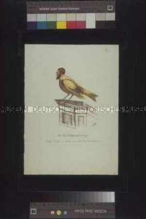 Karikatur auf den Abgeordneten der Frankfurter Nationalversammlung Gustav Adolph Rösler