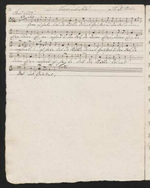 Tenor mit Solo