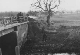 Hochwasser 1955 am Rhein bei Neuburg