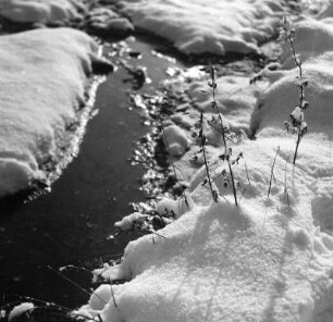 Winterbilder. Rinnsal im Schnee