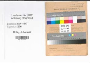 Entnazifizierung Johannes Bollig , geb. 16.04.1895 (Angestellter)