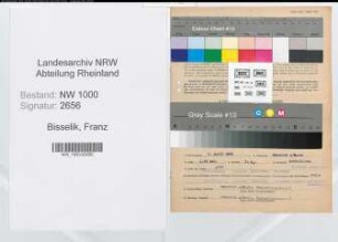 Entnazifizierung Franz Bisselik, geb. 03.04.1898 (Brandmeister)