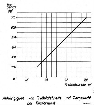 Abhängigkeit von Freßplatzbreite und Tiergewicht bei Rindermast