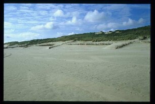 Buschzäune auf Wangerooge