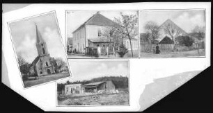 Scheibenradisch. verschiedene Motive