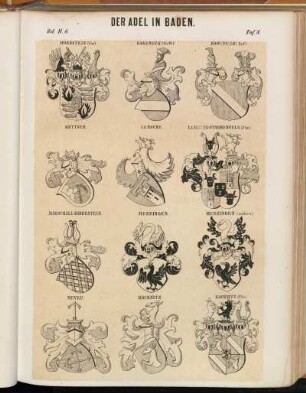 Taf. 8. Hornstein (Fhr.) - Kageneck (St.W.) - Kageneck (Grf). - Kettner. - La Roche. - La Roche-Starkenfels (Fhr) - Marschall-Biberstein. - Menzingen. - Menzingen (anders). - Neveu. - Racknitz. - Racknitz (Fhr.) -