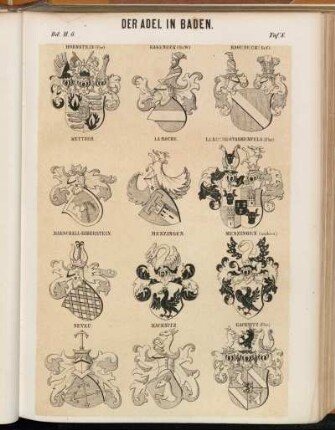 Taf. 8. Hornstein (Fhr.) - Kageneck (St.W.) - Kageneck (Grf). - Kettner. - La Roche. - La Roche-Starkenfels (Fhr) - Marschall-Biberstein. - Menzingen. - Menzingen (anders). - Neveu. - Racknitz. - Racknitz (Fhr.) -