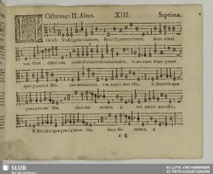 XIII. Hoc est praeceptum meum