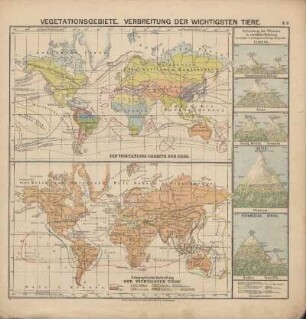 Geographische Verbreitung der wichtigsten Tiere