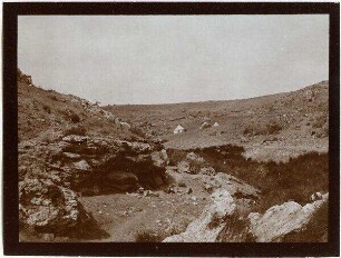 Talenge im w. [Wadi] maleh bei hammam en maleh [Quelle im wadi maleh]