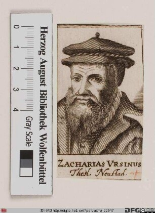 Bildnis Zacharias Ursinus (eig. Beer)