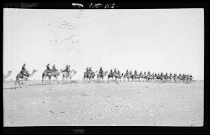 Kamel-Regiment (Karavane) im Sinai-Gebiet (Ägypten)