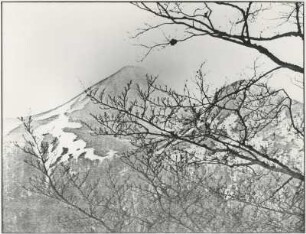 Frühlingslandschaft mit dem Puy Gryou in den Monts du Cantal, Auvergne