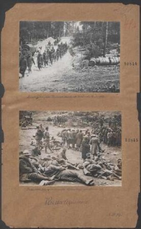 Marsch gefangener Italiener durch ein Gehölz bei Görz 1917