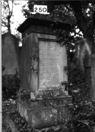Grabstein 250 (Index: 100085077) Maße HxBxT: 162x60x58 cm Beschreibung: Stele, getreppter Sockel, Aufsatz, rechteckige Schriftfelder eingetieft: Grabstein 250