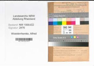 Entnazifizierung Alfred Woestenhemke, geb. 24.09.1907 (Kaufm.Angest.)