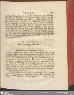 IV. Capitlet. Om Masugns-brösten