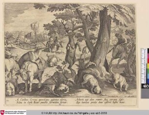 [Hirschjagd mit schnuppernden Jagdhunden; Deer hunt with hounds tracking]