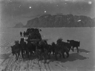 Hundeschlitten (Grönlandexpedition 1891-1893)