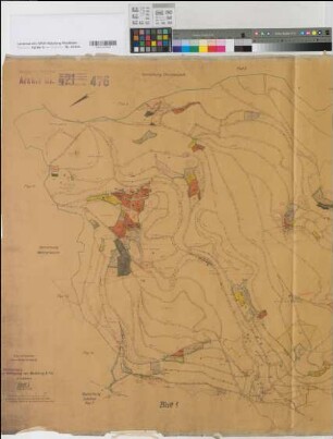 Berleburg (Bad Berleburg), Flurbereinigung Berleburg, Fichtenalterklassen Bl.2 1950/51