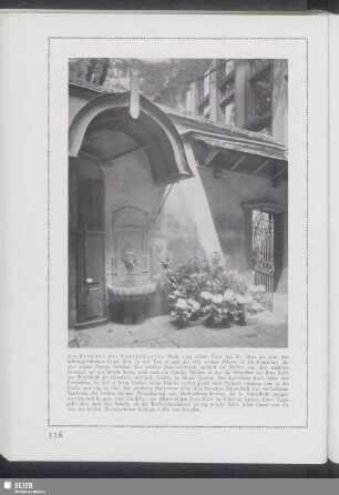 Am Brunnen des Goethehauses
