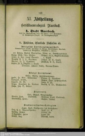 IX. Gerichtsamtsbezirk Auerbach : IX. Abtheilung. Gerichtsamtsbezirk Auerbach