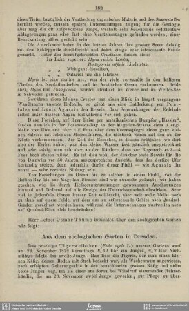 Aus dem zoologischen Garten in Dresden