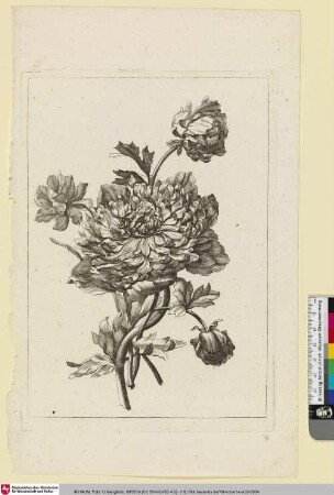 [Blumengebinde]