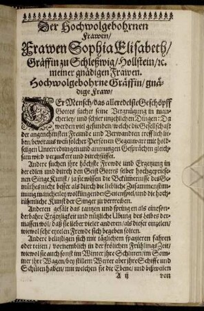 Der Hochwolgebohrnen Frawen/ Frawen Sophia Elisabeth/ Gräffin zu Schleswig/ Hollstein [...]
