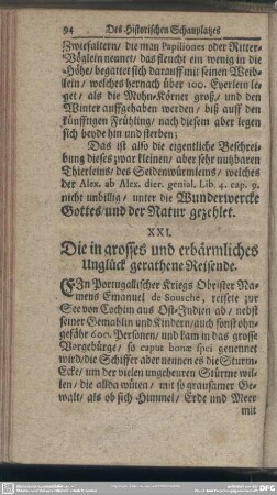 XXI. Die in grosses und erbärmliches Unglück gerathene Reisende