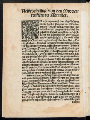 Newe zeittung von den Widderteuffern zu Munster.
