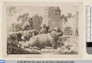 Sechs Schafe vor einer Ruine
