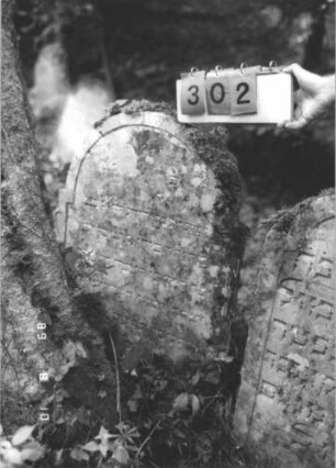 Grabstein 302 (Index: 99799821) Material: Sandstein Zustand: verwittert, vom Baum verdeckt Maße HxBxT: 85x62x9 cm Beschreibung: Stele, eingezogener Rundbogenabschluß, Schriftfeld eingetieft: Grabstein 302