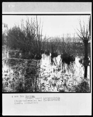 Überschwemmung bei (Groß-) Lichterfelde bei Berlin