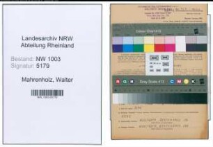 Entnazifizierung Walter Mahrenholz , geb. 16.02.1906 (Techn.Angestellter)