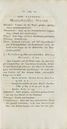 LVII. Gattung. Meerschwalbe. Sterna