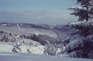 Thüringer Wald. Winterlandschaft bei Ilmenau