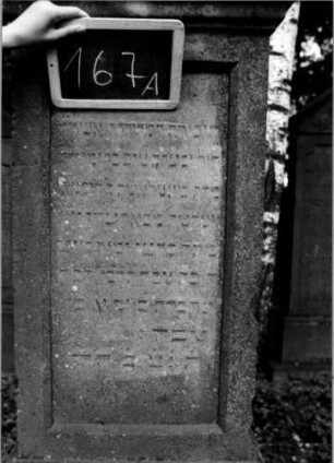 Grabstein 167 (Index: 100111340) Material: Sandstein Zustand: leicht verwittert Maße HxBxT: 197x60x46 cm Beschreibung: Stele, profilierter Sockel, Abdeckplatte mit Volutenaufsatz, rechteckige Schriftfelder eingetieft Symbolik: Blüten, Voluten: Grabstein 167A