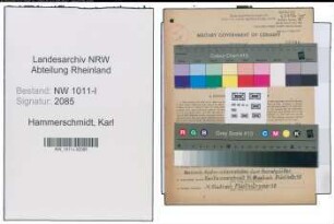 Entnazifizierung Karl Hammerschmidt , geb. 29.10.1894 (Malermeister)