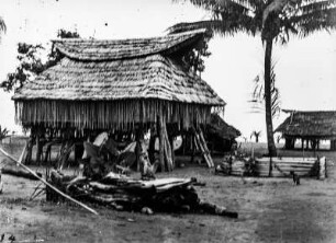 Haus (Forschungsreise durch Deutsch-Guinea 1909)